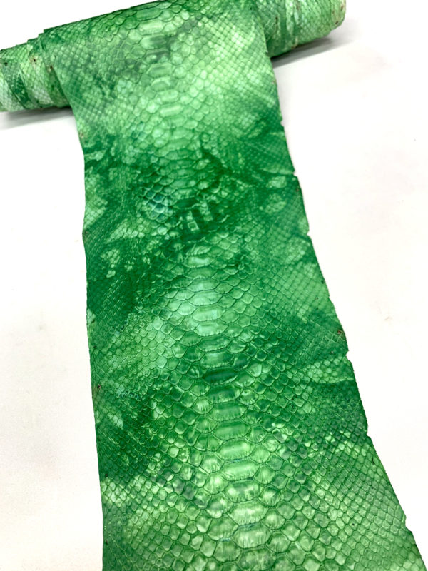 タイダイグリン　305cm